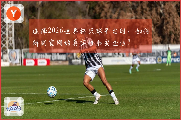 选择2026世界杯买球平台时，如何辨别官网的真实性和安全性？