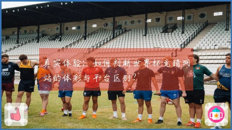 真实体验：如何判断世界杯竞猜网站的体彩与平台区别？