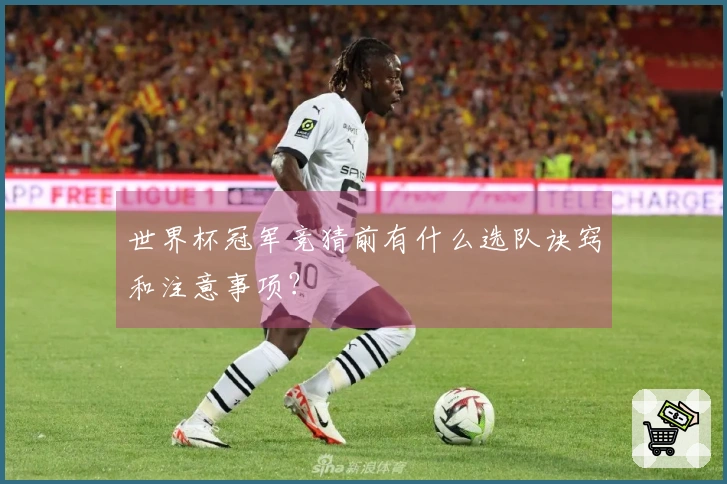 世界杯冠军竞猜前有什么选队诀窍和注意事项？
