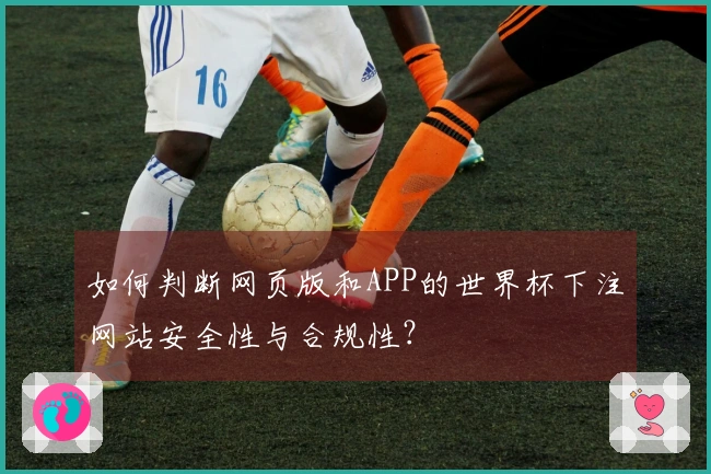 如何判断网页版和APP的世界杯下注网站安全性与合规性？