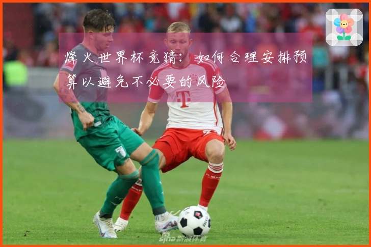 烽火世界杯竞猜：如何合理安排预算以避免不必要的风险