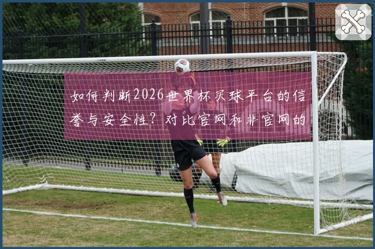 如何判断2026世界杯买球平台的信誉与安全性？对比官网和非官网的区别指导你选择
