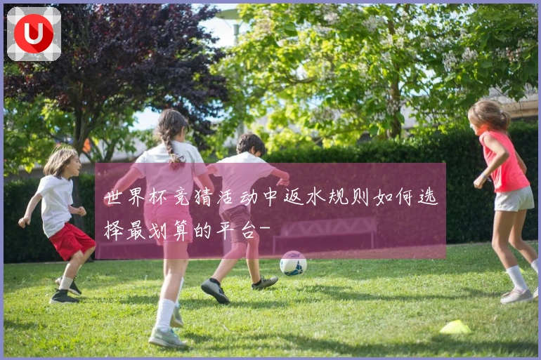 世界杯竞猜活动中返水规则如何选择最划算的平台-