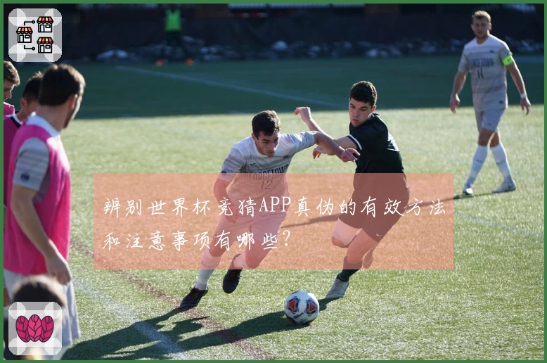 辨别世界杯竞猜APP真伪的有效方法和注意事项有哪些？