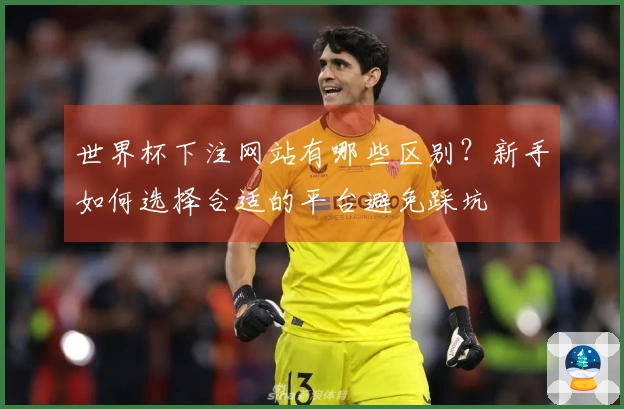 世界杯下注网站有哪些区别？新手如何选择合适的平台避免踩坑