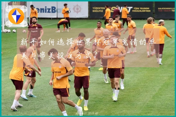 新手如何选择世界杯冠军竞猜的单关与串关投注方式？
