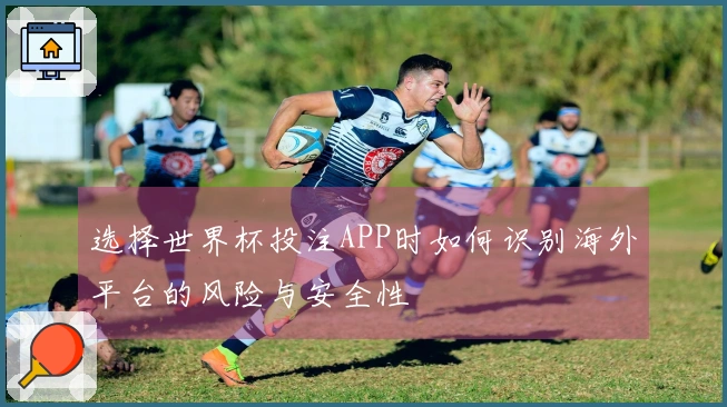 选择世界杯投注APP时如何识别海外平台的风险与安全性