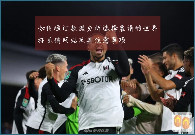 如何通过数据分析选择靠谱的世界杯竞猜网站及其注意事项