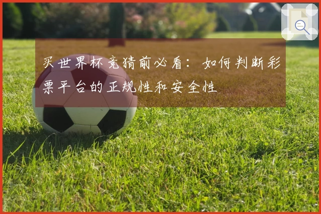 买世界杯竞猜前必看：如何判断彩票平台的正规性和安全性