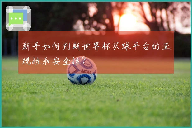 新手如何判断世界杯买球平台的正规性和安全性？