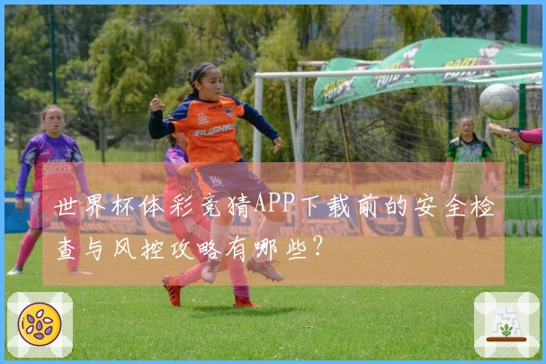 世界杯体彩竞猜APP下载前的安全检查与风控攻略有哪些？