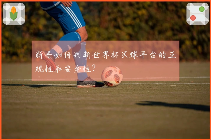 新手如何判断世界杯买球平台的正规性和安全性？