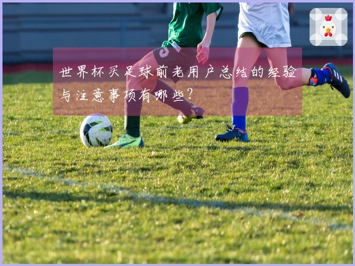世界杯买足球前老用户总结的经验与注意事项有哪些？