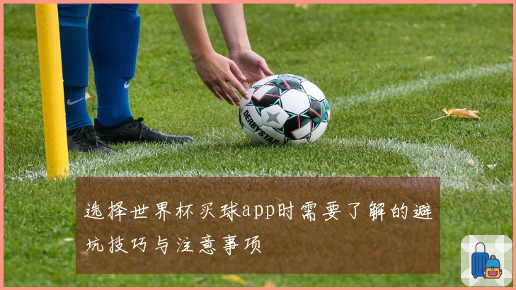 选择世界杯买球app时需要了解的避坑技巧与注意事项