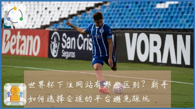 世界杯下注网站有哪些区别？新手如何选择合适的平台避免踩坑