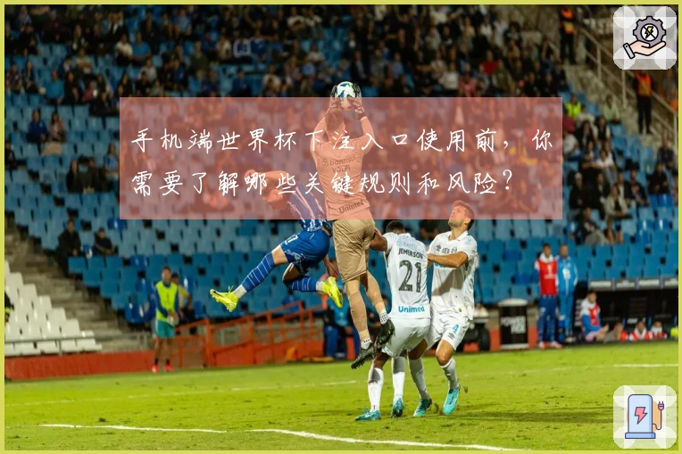 手机端世界杯下注入口使用前，你需要了解哪些关键规则和风险？