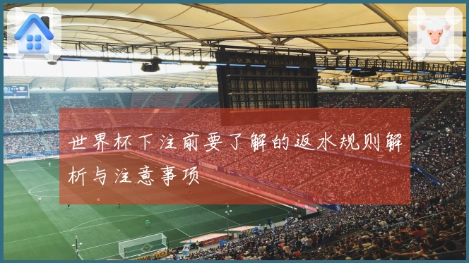 世界杯下注前要了解的返水规则解析与注意事项