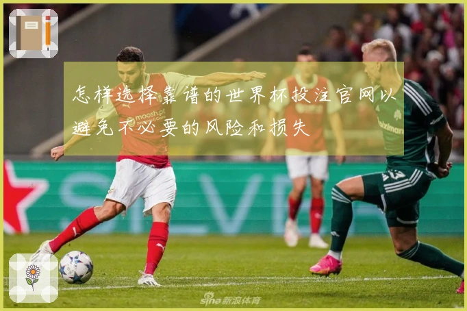 怎样选择靠谱的世界杯投注官网以避免不必要的风险和损失