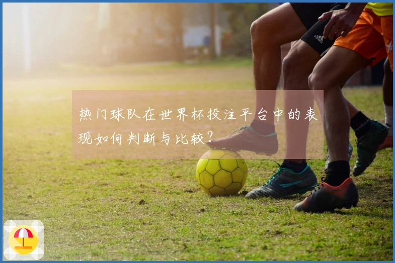 热门球队在世界杯投注平台中的表现如何判断与比较？
