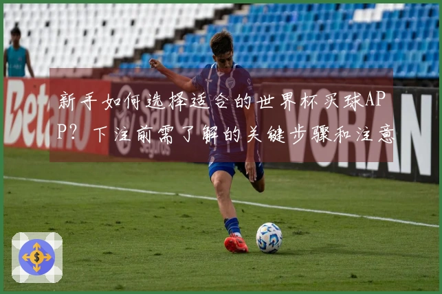 新手如何选择适合的世界杯买球APP？下注前需了解的关键步骤和注意事项