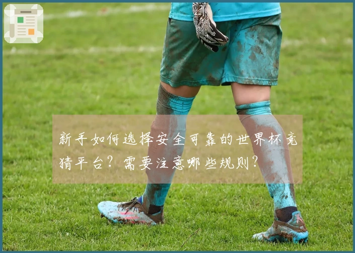 新手如何选择安全可靠的世界杯竞猜平台？需要注意哪些规则？