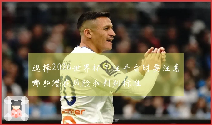 选择2026世界杯下注平台时要注意哪些潜在风险和判别标准