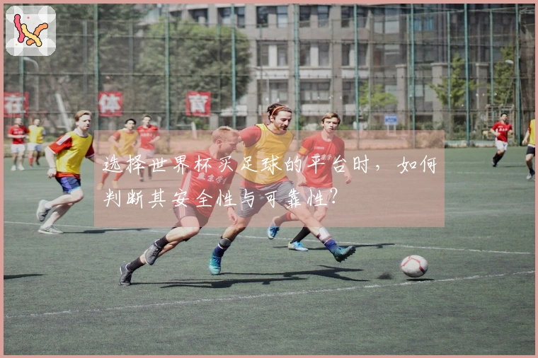选择世界杯买足球的平台时，如何判断其安全性与可靠性？