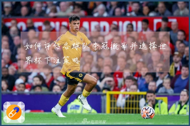 如何评估各球队夺冠概率并选择世界杯下注策略
