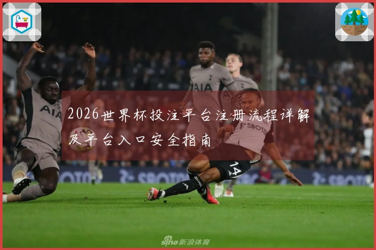 2026世界杯投注平台注册流程详解及平台入口安全指南