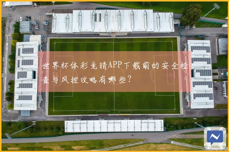 世界杯体彩竞猜APP下载前的安全检查与风控攻略有哪些？