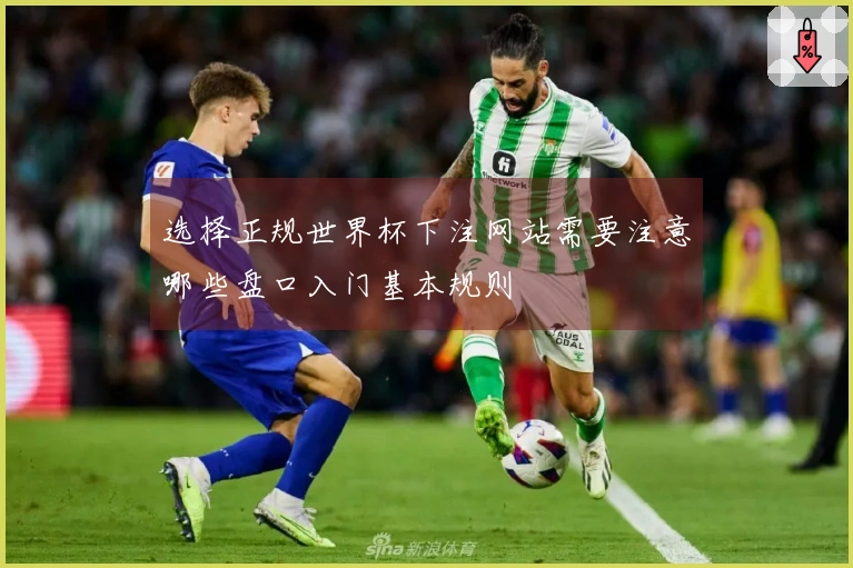 选择正规世界杯下注网站需要注意哪些盘口入门基本规则