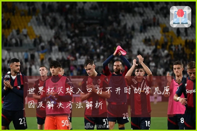 世界杯买球入口打不开时的常见原因及解决方法解析